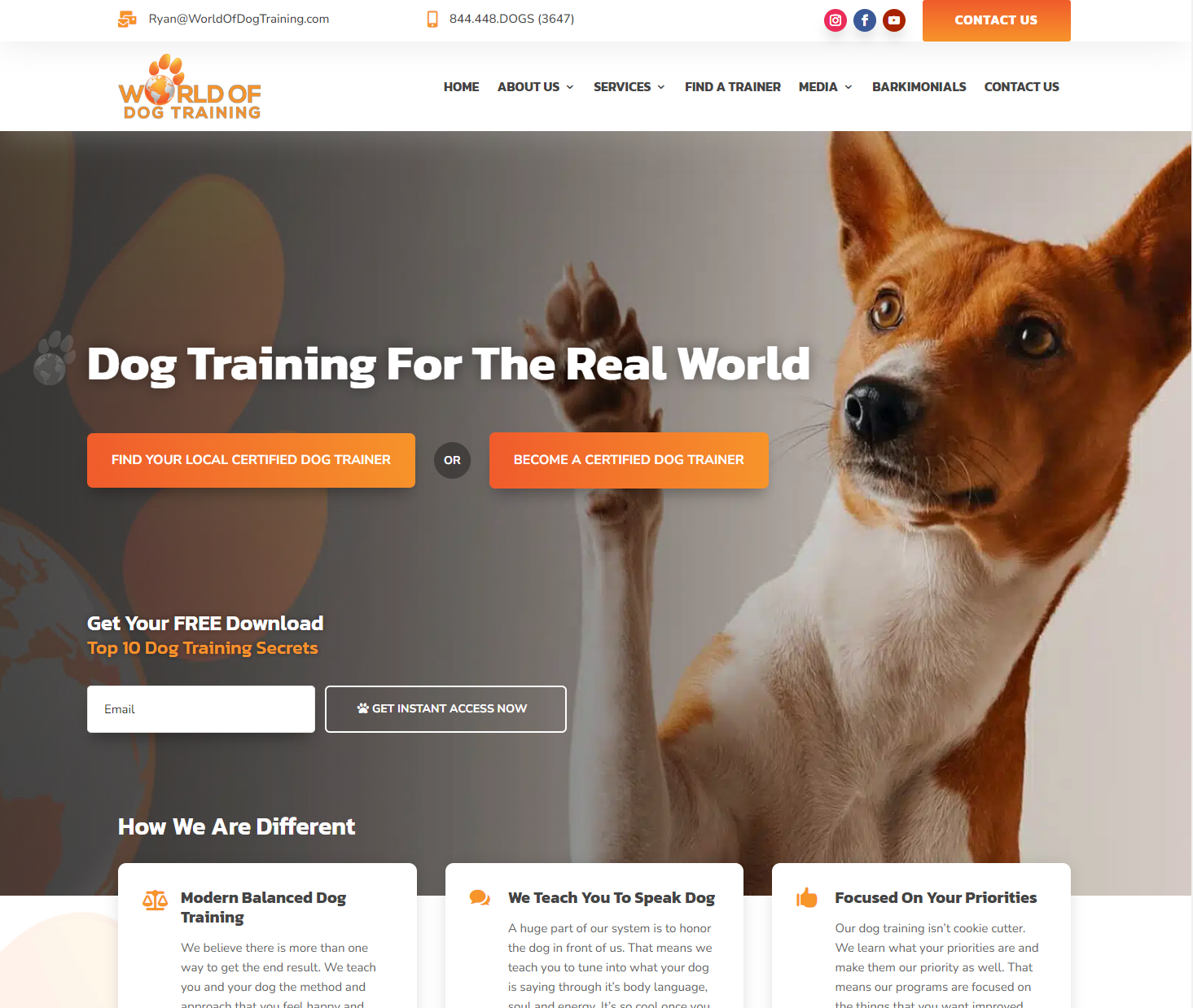 World of Dog Training