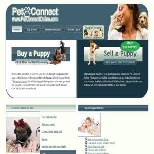 Pet Connect Online