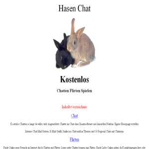 Hasen Chat